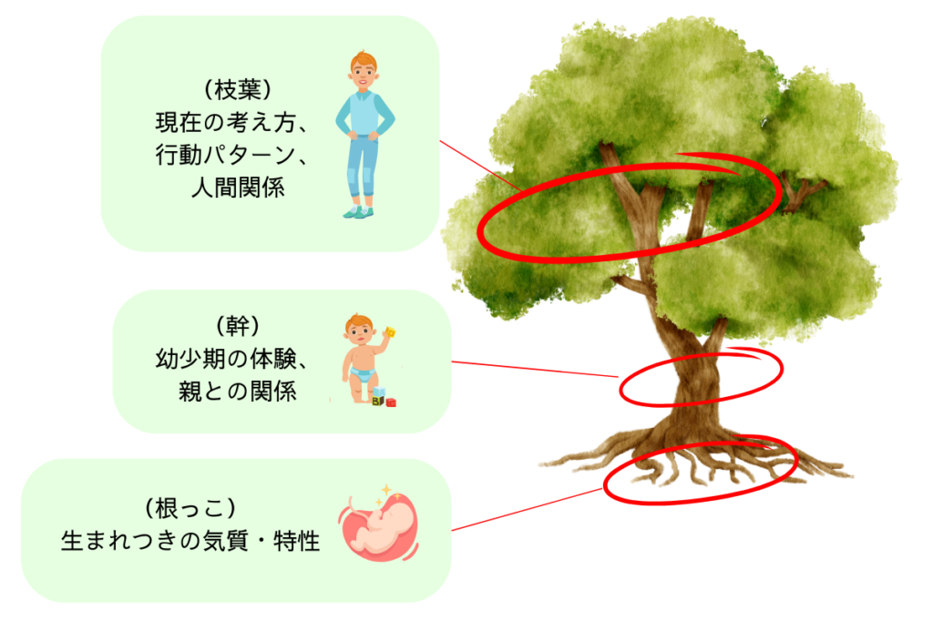 根っこ:生まれつきの気質・特性
幹:幼少期の体験、特に親との関係
枝葉:現在の考え方、行動パターン、人間関係